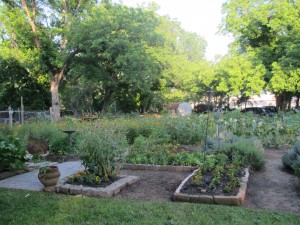 A Verdant Oasis in a Concrete Jungle